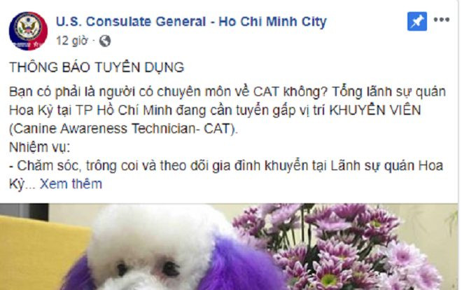Tổng lãnh sự Mỹ tại TP. HCM tuyển 'khuyển viên', yêu cầu hiểu ngôn ngữ của chó khiến cộng đồng mạng rục rịch nộp đơn Ảnh 2