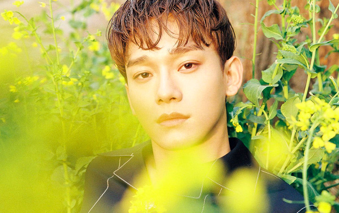EXO-L Việt Nam mừng phát khóc khi phát hiện điều này trong MV 'Beautiful Goodbye' của Chen Ảnh 2