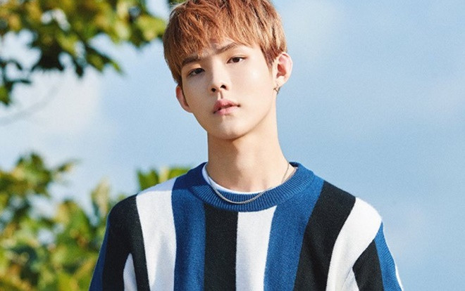 Lộ diện nam thực tập sinh PRODUCE X 101 được fan quốc tế ủng hộ hết lòng, nhưng liệu có bị chính netizen Hàn hắt hủi? Ảnh 2