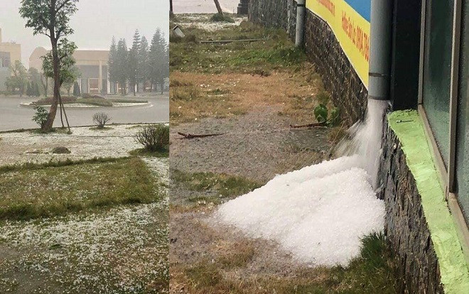 Nhìn ảnh mưa đá kéo dài tại Mộc Châu, cộng đồng mạng hốt hoảng lo sợ 'mận sẽ tăng giá' Ảnh 2