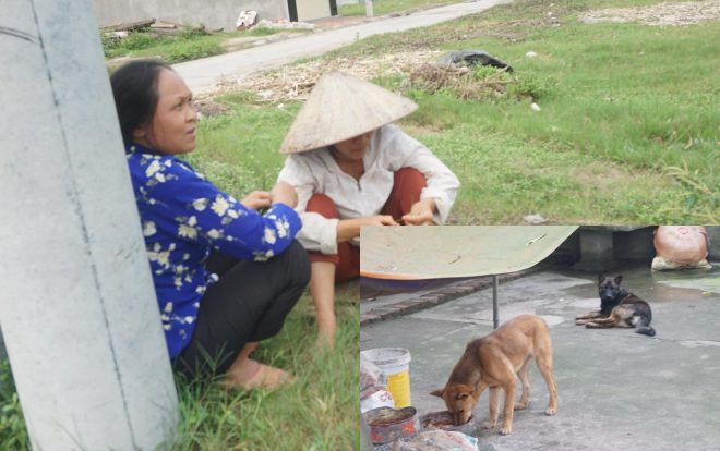 Người phát hiện bé trai bị đàn chó dữ cắn tử vong: 'Cháu vẫn nhớ và gọi tên bố mẹ, xong thì ngất lịm đi' Ảnh 2