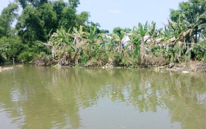 Ngủ nhờ tại chùa, sáng hôm sau phát hiện thi thể hai bà cháu dưới ao Ảnh 2