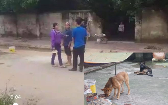 Phản ứng của bà chủ nuôi đàn chó cắn bé trai 7 tuổi tử vong khi phóng viên đến nhà Ảnh 2