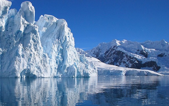 Trái đất ấm lên, cây có thể mọc lại ở Nam Cực Ảnh 2