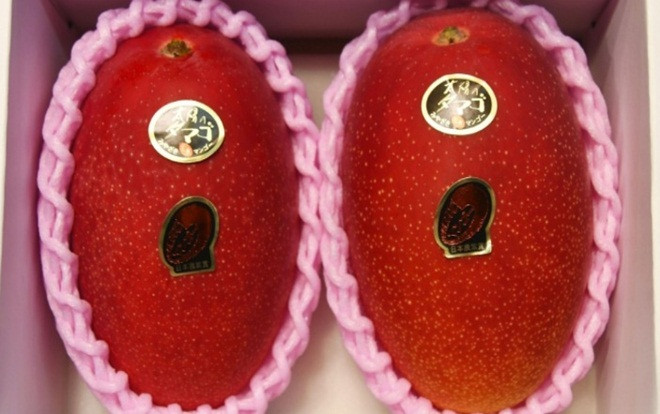 Cận cảnh cặp xoài có giá kỷ lục hơn 100 triệu đồng Ảnh 2