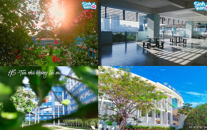 Mê mẩn những góc trường ĐH xanh mướt màu cỏ cây trong cuộc thi 'Góc đẹp - cảnh xinh - trường sang xịn mịn' Ảnh 2