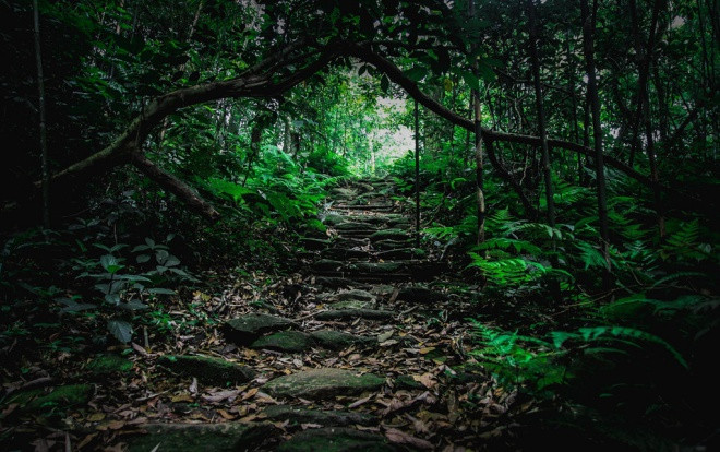 Khám phá rừng Tam Đảo, 5 nam nữ bị nhóm người chặn đường hành hung cướp tài sản Ảnh 2