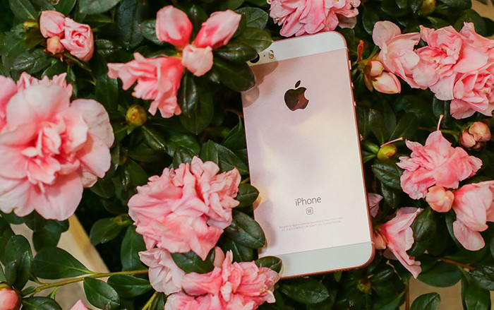 Một mẫu iPhone vừa được Apple tiếp tục bán ra với giá không thể rẻ hơn, cập nhật ngay kẻo lỡ Ảnh 2