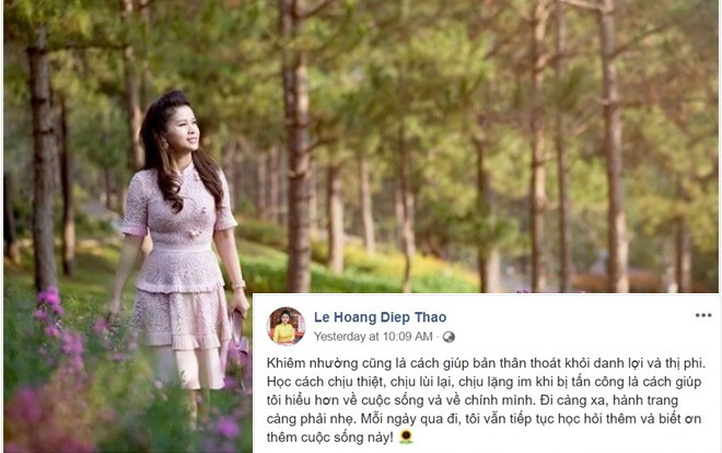 Sau kháng cáo muốn đoàn tụ, bà Lê Hoàng Diệp Thảo lên tiếng về sự khiêm nhường, im lặng khi bị tấn công Ảnh 2