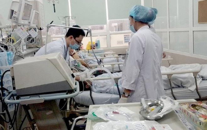 Hơn 800 'lợn vàng' ra đời trong 3 ngày nghỉ lễ Ảnh 2