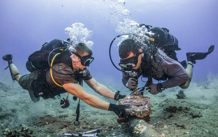 Cáp APG sửa xong, Internet VN đi quốc tế trở lại bình thường Ảnh 2