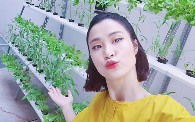 Đông Nhi khoe vườn rau tự trồng xanh mướt Ảnh 2