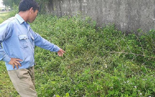 Công an điều tra nghi án bé lớp 2 bị xâm hại sau trường Ảnh 2