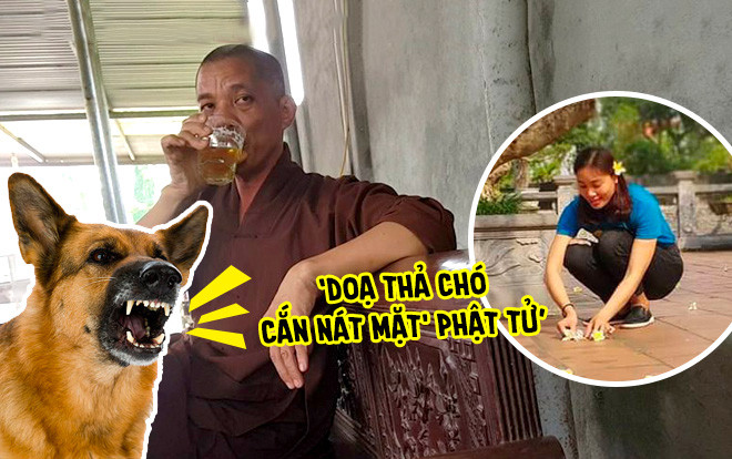 Sư trụ trì bị tố ‘doạ thả chó cắn nát mặt' phật tử: 'Vào chùa là để lễ Phật chứ không phải để chụp ảnh…' Ảnh 2