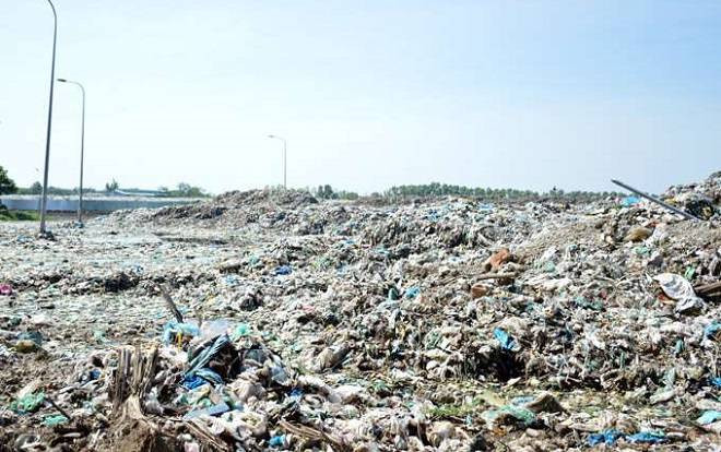 Phát hiện hơn 300 xác thai nhi tại Nhà máy xử lý rác thải TP.Cà Mau Ảnh 2