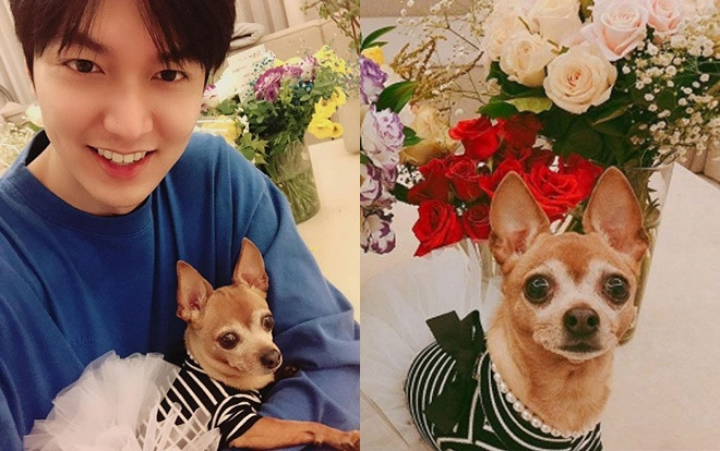 Lee Min Ho nhanh chóng ‘làm mới’ trang cá nhân của mình bằng loạt ảnh chụp với nhân vật đặc biệt này sau khi xuất ngũ Ảnh 2