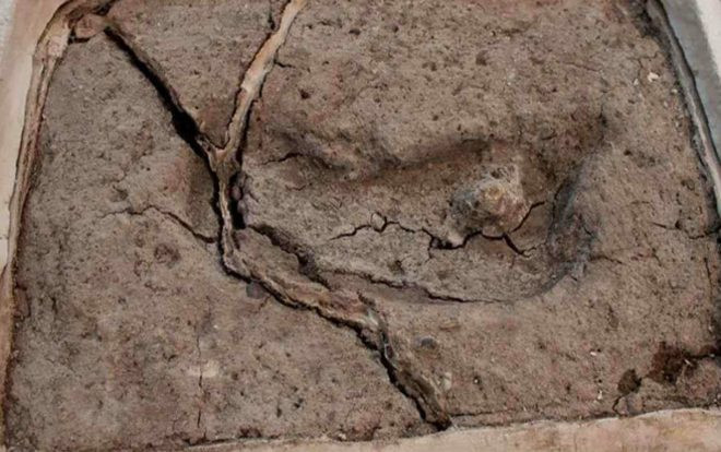 Phát hiện dấu chân người lâu đời nhất ở châu Mỹ Ảnh 2
