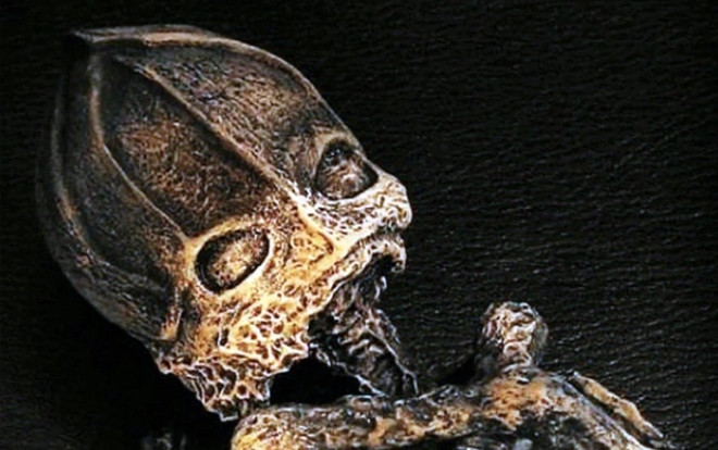 Sự thật đằng sau xác 'người lùn ngoài hành tinh' dài chưa tới 25 cm Ảnh 2