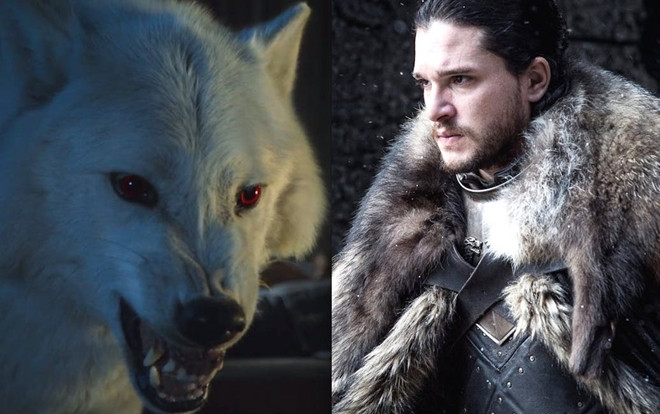 'Game of Thrones' tập 4 tiết lộ chuyện gì đã xảy ra với Ghost sau trận chiến thành Winterfell Ảnh 2