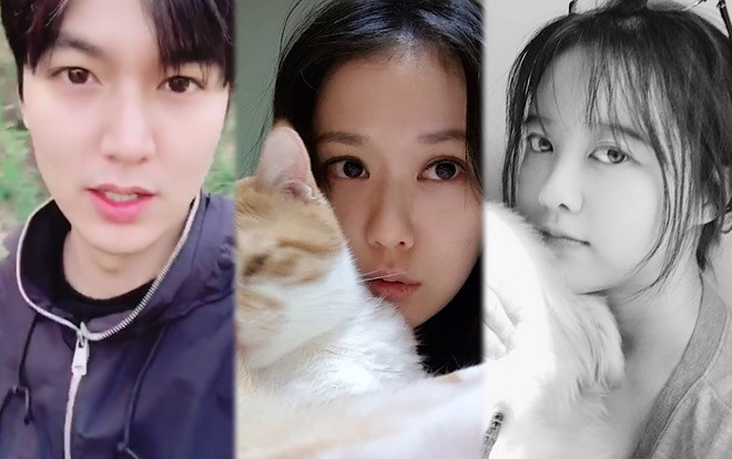 Lee Min Ho phấn khích đi du lịch, Jang Nara - Goo Hye Sun khoe vẻ đẹp trẻ trung Ảnh 2