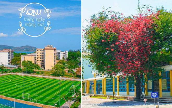 Ngây ngất trước khuôn viên Đại học Quy Nhơn quanh năm được biển xanh 'ôm ấp', sinh viên muốn 'lạc trôi' vào mãi không thôi Ảnh 2