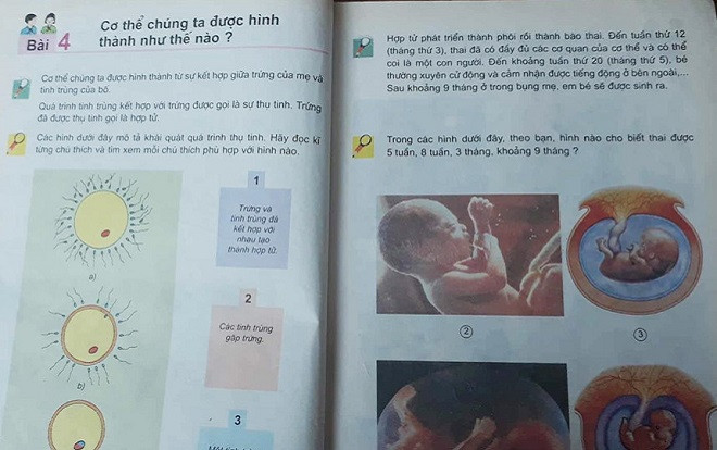 Hàng loạt vụ xâm hại trẻ: Giáo dục giới tính quá muộn, thiếu trực quan Ảnh 2