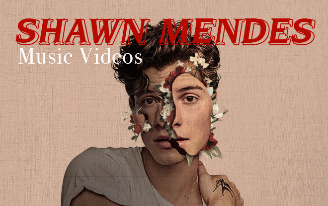 Những MV của Shawn Mendes: 'Hiện tượng 6 giây' năm nào nay đã là nam thần vạn người mê Ảnh 2