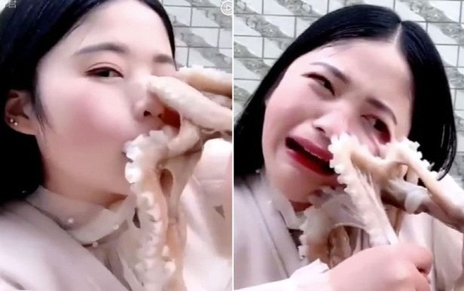 Nữ blogger gây tranh cãi khi bị bạch tuộc sống tấn công, bám chặt lên mặt Ảnh 2