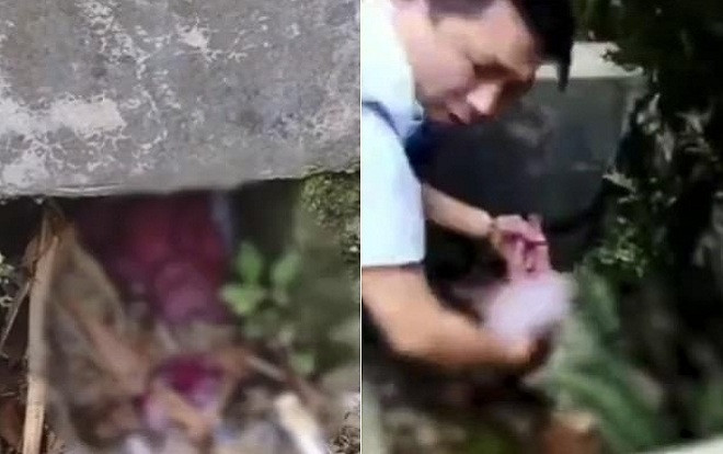 Đang dọn mương rác, công nhân vệ sinh phát hiện tội ác kinh hoàng Ảnh 2