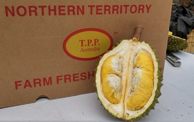 Hàng trăm sinh viên phải sơ tán vì nhầm mùi sầu riêng là khí gas bị rò rỉ Ảnh 2