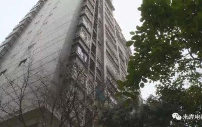 Cặp song sinh thoát chết kinh ngạc khi rơi từ tầng 17 nhờ thứ khó ngờ này Ảnh 2