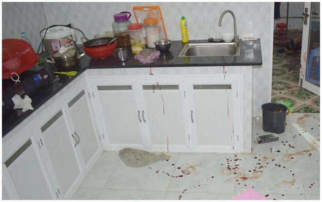 Vụ vợ chồng giáo viên về hưu tử vong tại nhà: Trầm cảm vì con trai hư hỏng Ảnh 2