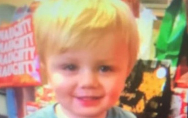 Bé trai 2 tuổi được phát hiện đang ăn bánh quy và uống nước táo cạnh vách đá sau 5 ngày mất tích Ảnh 2