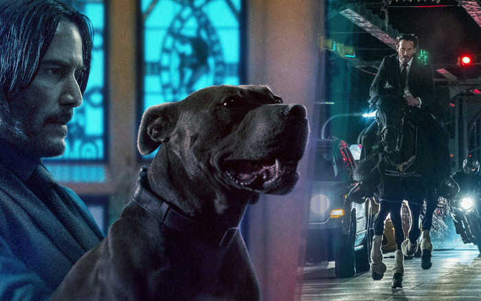 John Wick: Parabellum: Hành động non-stop mãn nhãn Ảnh 2