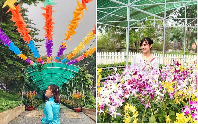 Khu vườn đầy hoa tươi và chong chóng gió mới toanh của ĐH Nhân Văn TP.HCM đang được check-in rầm rộ Ảnh 2