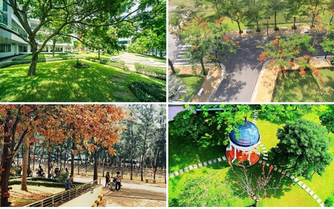 Lạc vào khuôn viên xanh mướt đẹp nhất nhì Việt Nam của Đại học Tôn Đức Thắng Ảnh 2