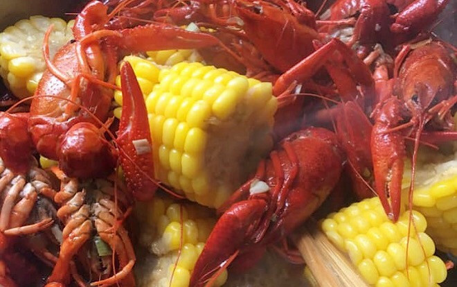 Sau ốc bươu vàng, lại đến lượt tôm hùm đất hoành hành Ảnh 2