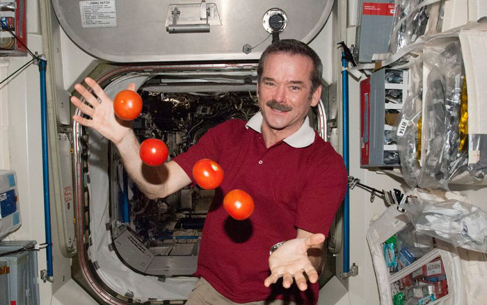 5 loại thực phẩm các phi hành gia không được ăn ở ngoài vũ trụ Ảnh 2