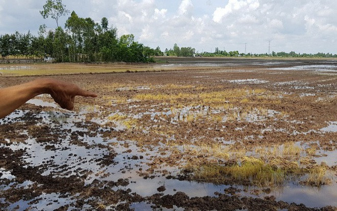 Không khởi tố vụ hai chú cháu đâm nhau chết vì tranh chấp đất Ảnh 2
