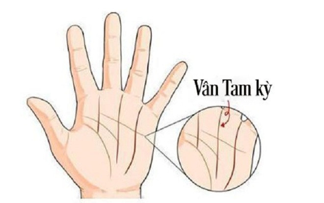 Sở hữu đường chỉ tay hiếm này, không sớm thì muộn cũng giàu 'nứt đố đổ vách' Ảnh 2