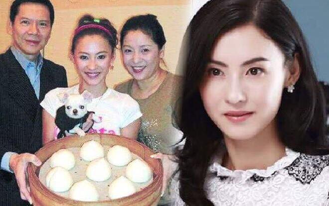 Vợ của ông trùm showbiz Hong Kong mắng chửi Trương Bá Chi: 'Nói dối như bệnh nhân tâm thần, mồ côi cha lại ly hôn tâm lý vặn vẹo' Ảnh 2