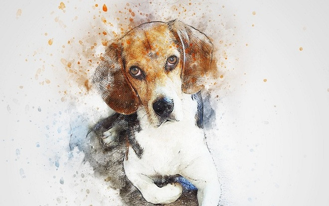 5 con giáp được thần tài gõ cửa, phát tài nhanh như vũ bão trong tháng 6 Ảnh 2