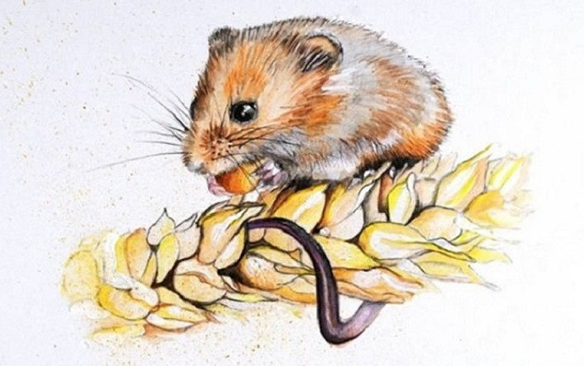 5 con giáp gặp xui xẻo dồn dập trong tháng 6, cẩn thận không thừa! Ảnh 2