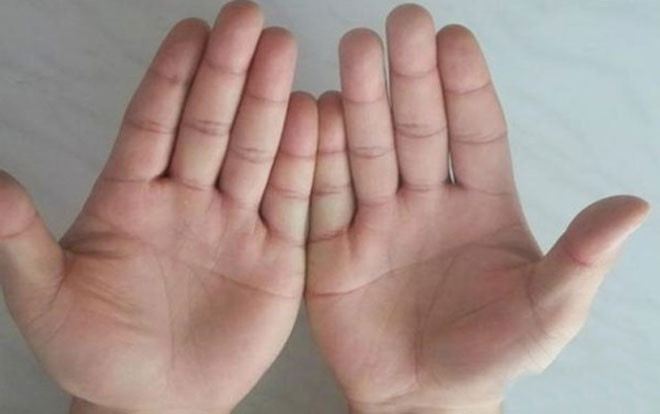 Sở hữu 3 đường chỉ tay này, sự nghiệp sẽ 'phất lên như diều gặp gió' nếu xuất ngoại Ảnh 2