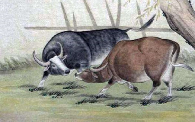 12 con giáp và những ngày sinh đem lại may mắn (P1) Ảnh 2