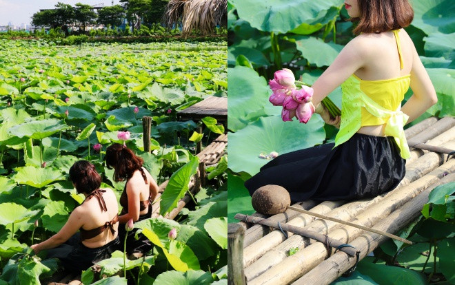 Thiếu nữ lưng trần say sưa tạo dáng cùng hoa sen dưới nắng nóng 40 độ ở Hà Nội Ảnh 2