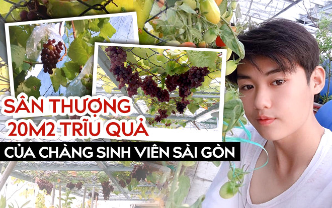 Khu vườn trên cao 20m2 xum xuê nho đen Pháp và hoa tươi rực rỡ của chàng sinh viên năm nhất Sài Gòn Ảnh 2