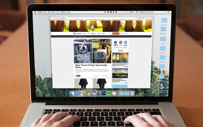 8 MXH lạ lùng mà bạn sẽ không bao giờ biết cho đến khi bạn đọc bài viết này Ảnh 2