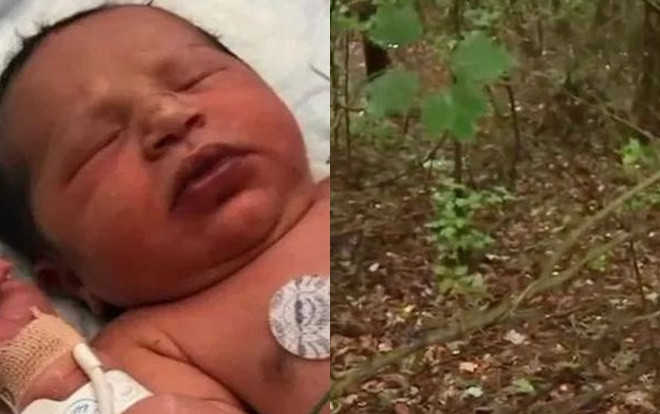 Bé sơ sinh vừa chào đời 1 tiếng bị bỏ rơi trong rừng Ảnh 2