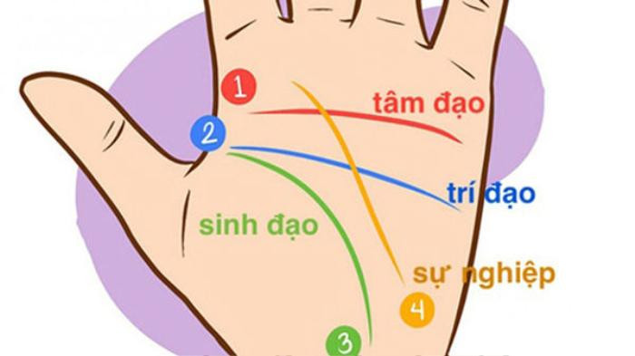 Xem chỉ tay đường công danh, luận ra ngay ai sự nghiệp giàu sang, ai lận đận khốn khó - TBDN